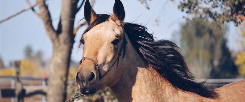 Processed with VSCO with 7 preset